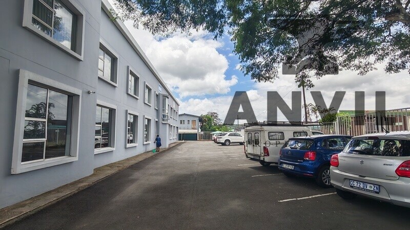 11-13 Suffert Street - Unit 2 property image 37