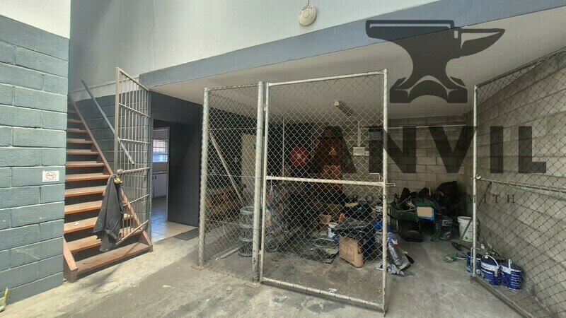 117 Albert Road - 117A  property image 6