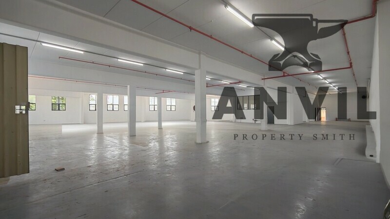 Middle and Basement Combined