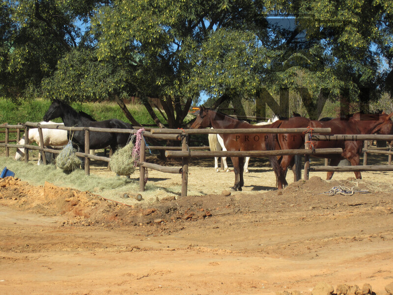 Inanda Greens, Building 10, Sandton - Whole Building property image 20
