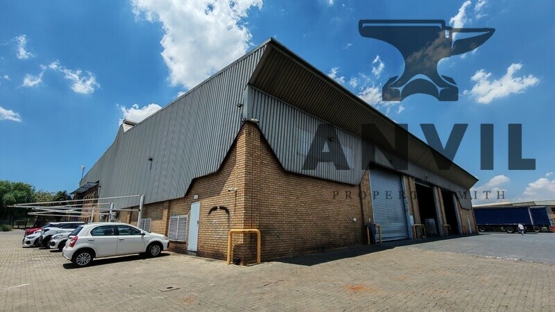 45 Director Road, Spartan - Whole Property  property image 17