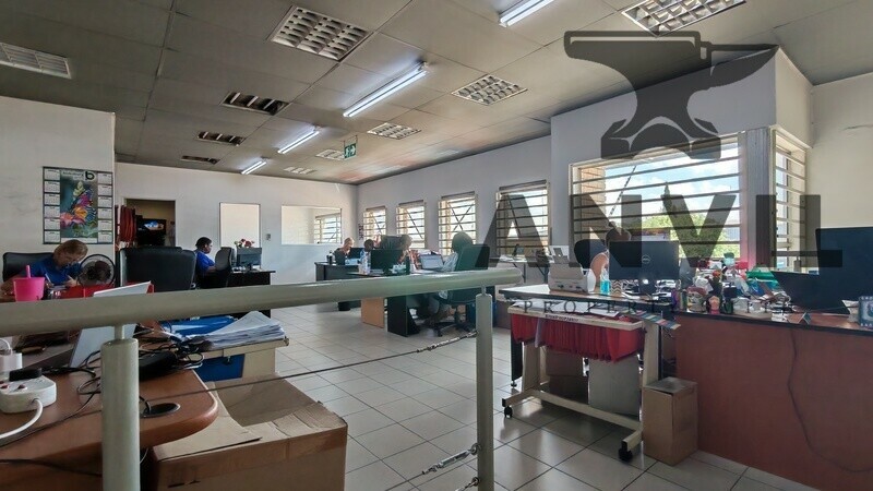 45 Director Road, Spartan - Whole Property  property image 6