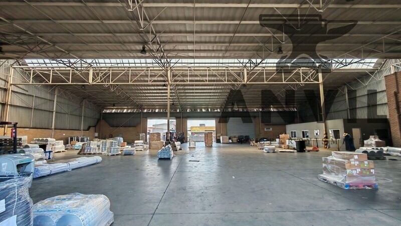 45 Director Road, Spartan - Whole Property  property image 9