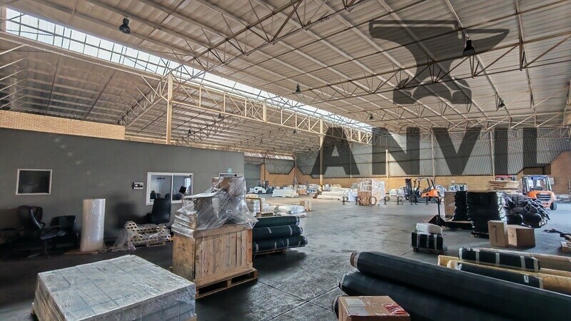 45 Director Road, Spartan - Whole Property  property image 13