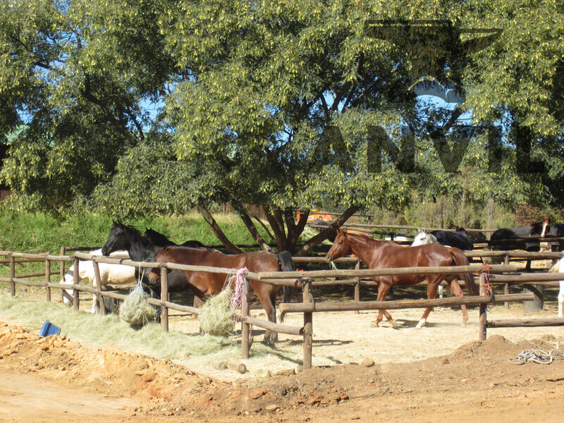 Inanda Greens, Building 10, Sandton - Whole Building property image 22