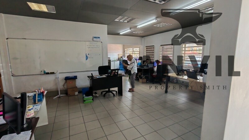 45 Director Road, Spartan - Whole Property  property image 6