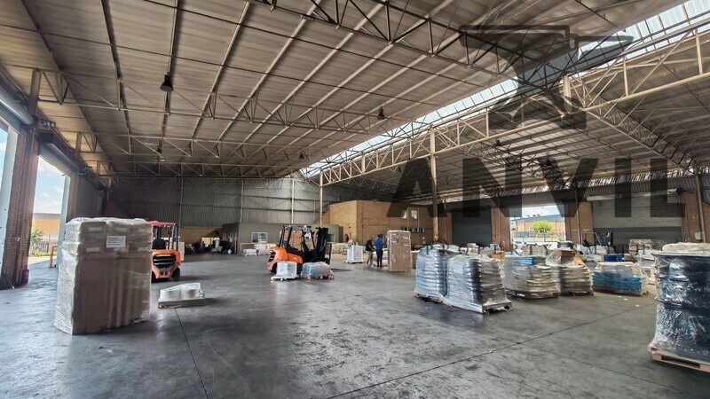 45 Director Road, Spartan - Whole Property  property image 13