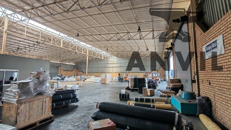 45 Director Road, Spartan - Whole Property  property image 15