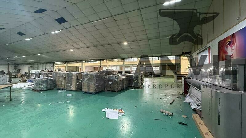 27 Jan Smuts Rd, Beaconvale, Cape Town, 7500, South Africa - Entire Unit property image 14