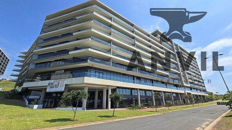 784m2 Open Lower Basement Unit