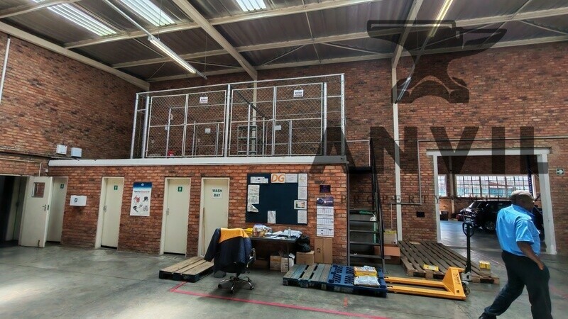 4 Winnipeg Avenue - Whole Property  property image 19