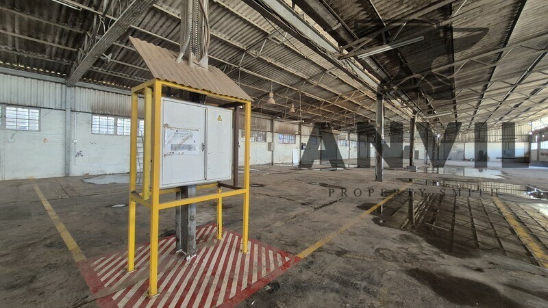 159 Burman Rd - Warehouse to let in Deal Party property image 18