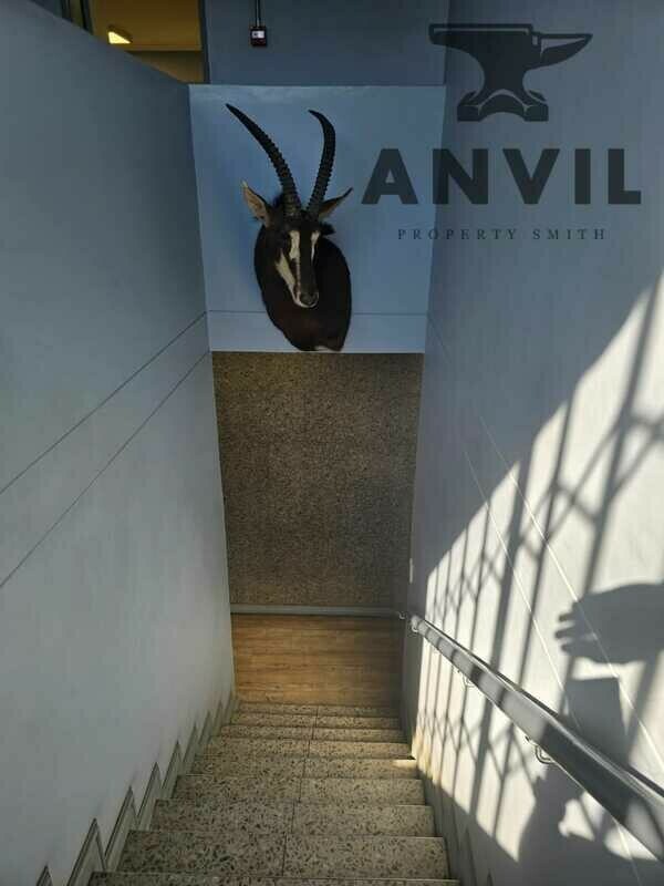 13 Spin St, Parow Industrial, Cape Town - Entire Building  property image 28