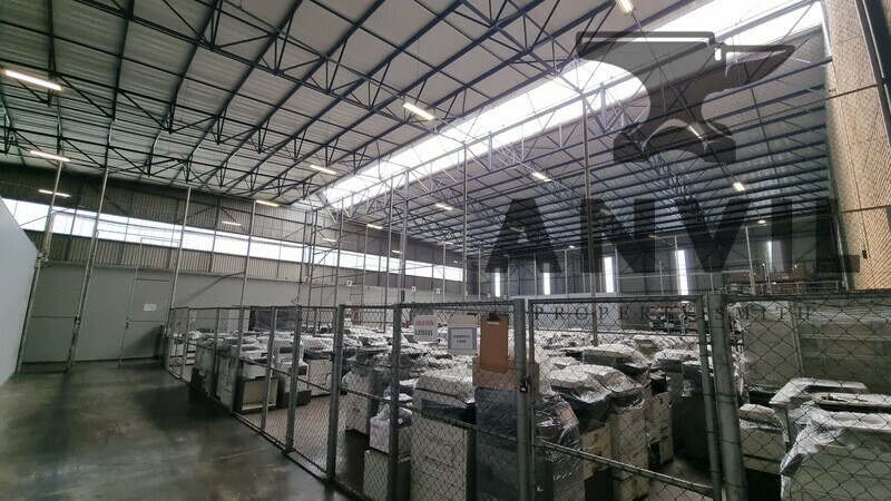 451 Sam Green Road, Tunney  - Standalone  property image 13