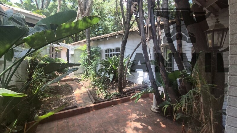 19 Scott Street - Waverly Private Prop to let property image 26