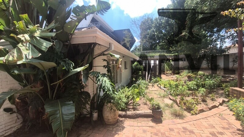 19 Scott Street - Waverly Private Prop to let property image 29