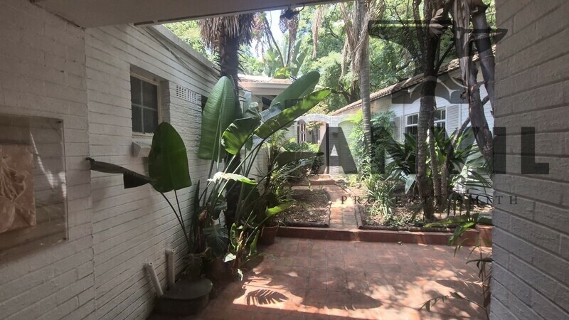 19 Scott Street - Waverly Private Prop to let property image 30