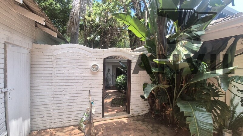 19 Scott Street - Waverly Private Prop to let property image 2