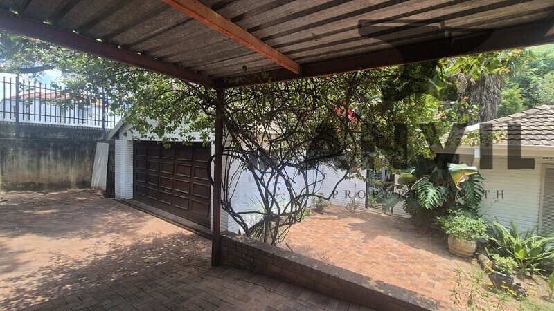 19 Scott Street - Waverly Private Prop to let property image 4