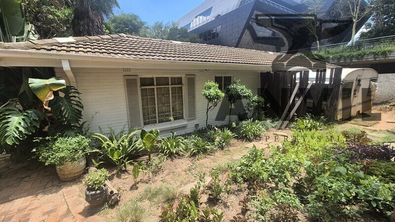 19 Scott Street - Waverly Private Prop to let property image 5