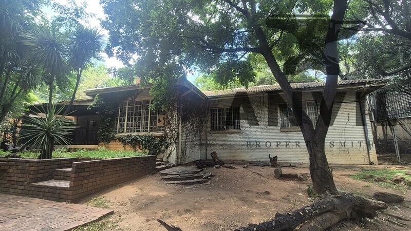 19 Scott Street - Waverly Private Prop to let property image 21