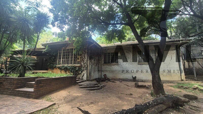 19 Scott Street - Waverly Private Prop to let property image 7