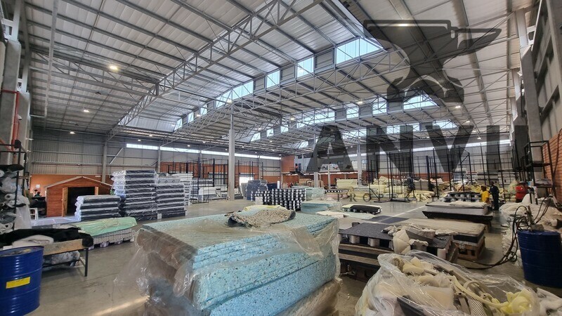 Cosmo Business Park - 33 Roman - Whole Unit  property image 4