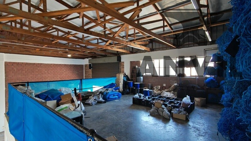 Devro Park - 282sqm for sale unit 13 property image 7