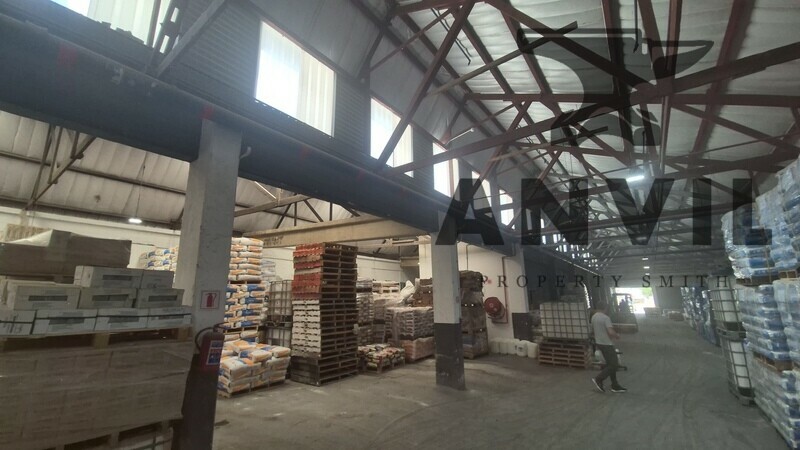 25 Hermes St - Unit 2 & 8 property image 9