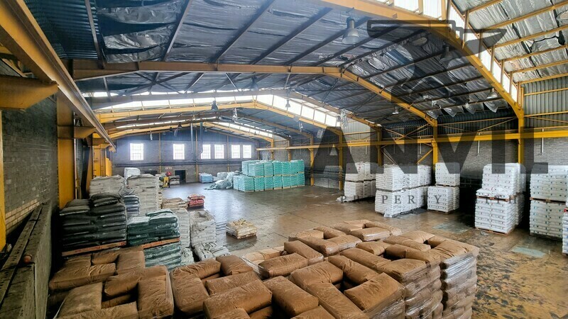 12 Watt Place - Standalone Building property image 3