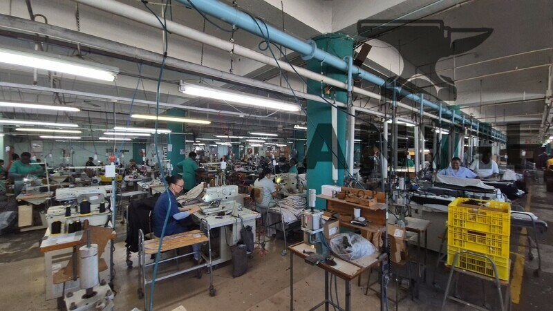 6 Mowbray Road  - First Floor Sub Section property image 10