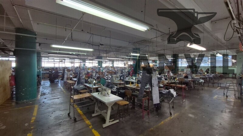 6 Mowbray Road  - First Floor Sub Section property image 2