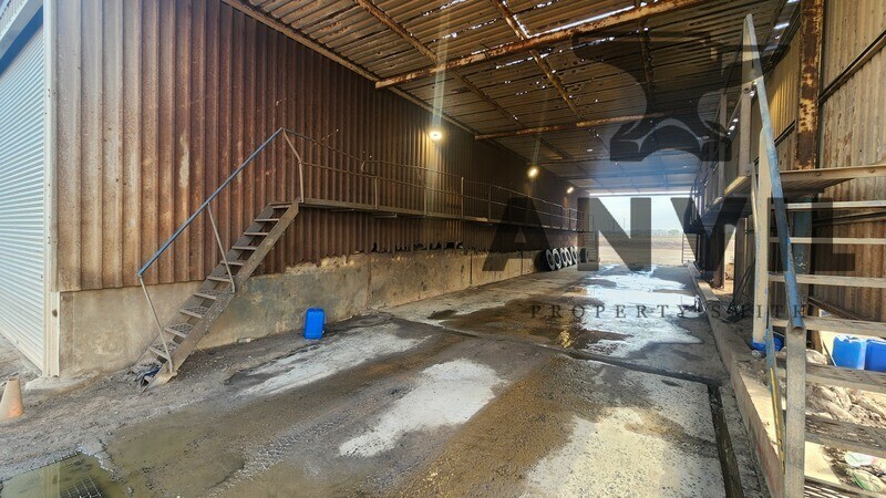 Tip Trans - Tip Trans  property image 38