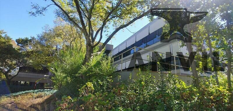 The Woodlands Office Park, Building 25 - FF Middle property image 20