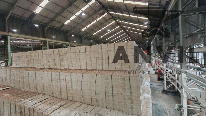 111A - 111B Fitter Road  - 111B - Entire Property property image 6