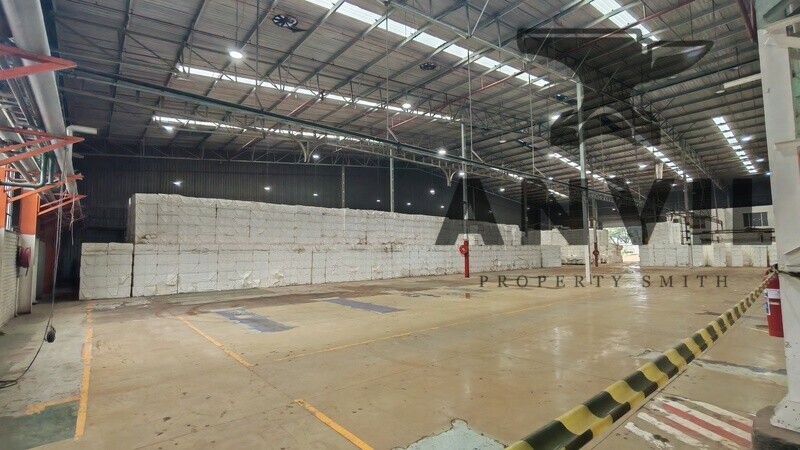 111A - 111B Fitter Road  - 111B - Entire Property property image 10