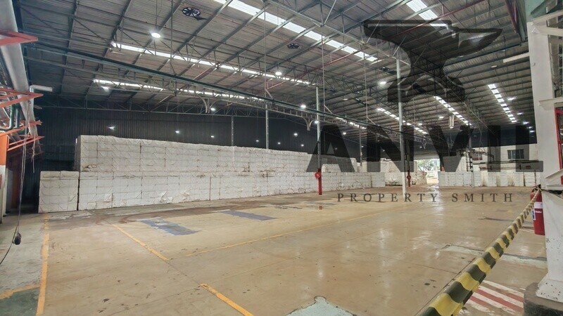 111A - 111B Fitter Road  - 111B - Entire Property property image 9