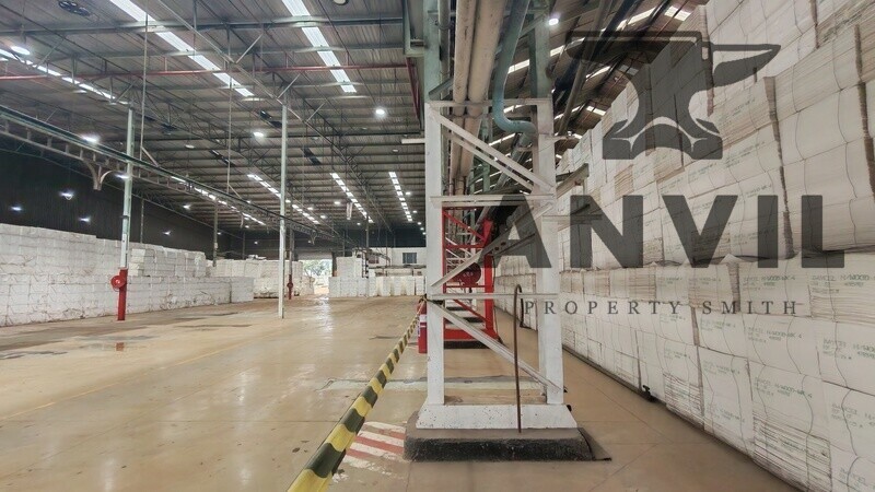 111A - 111B Fitter Road  - 111B - Entire Property property image 11