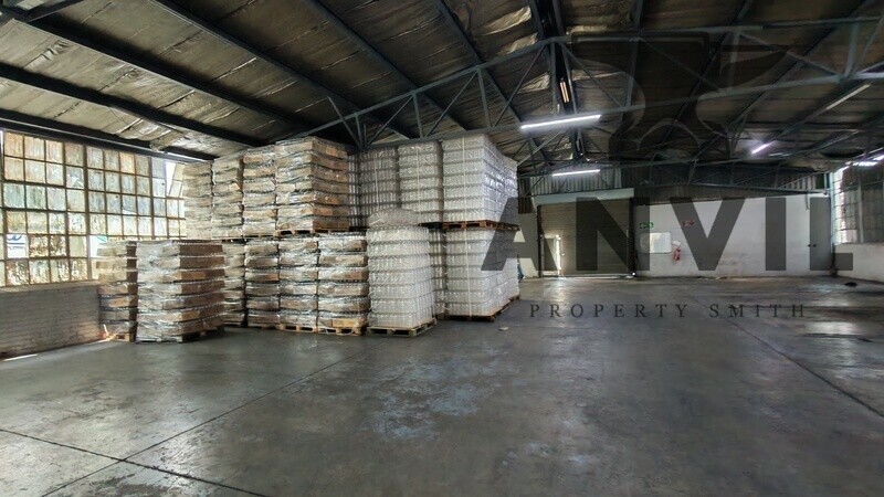 60 Steel Road - Entire Property property image 4