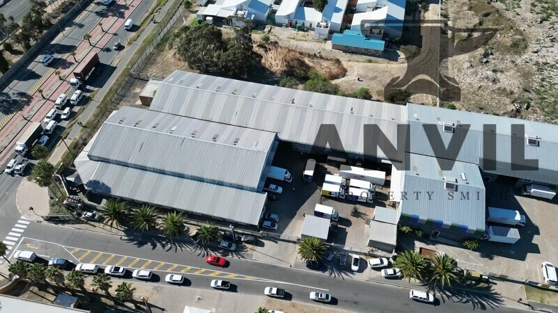 1 Killarney Ave, Killarney Gardens - Wharehouse property image 27