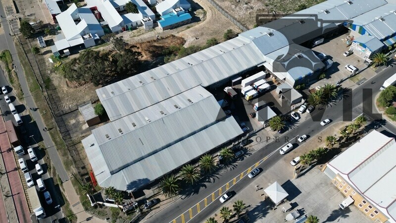 1 Killarney Ave, Killarney Gardens - Wharehouse property image 29