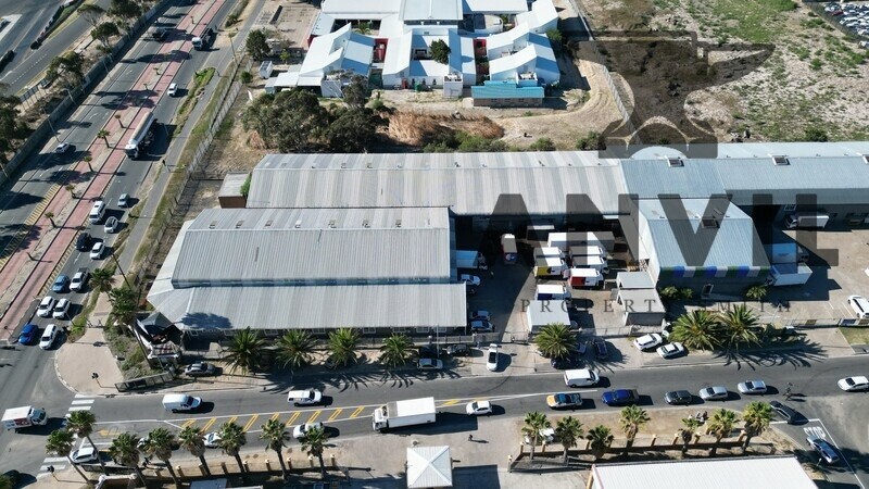 1 Killarney Ave, Killarney Gardens - Wharehouse property image 31