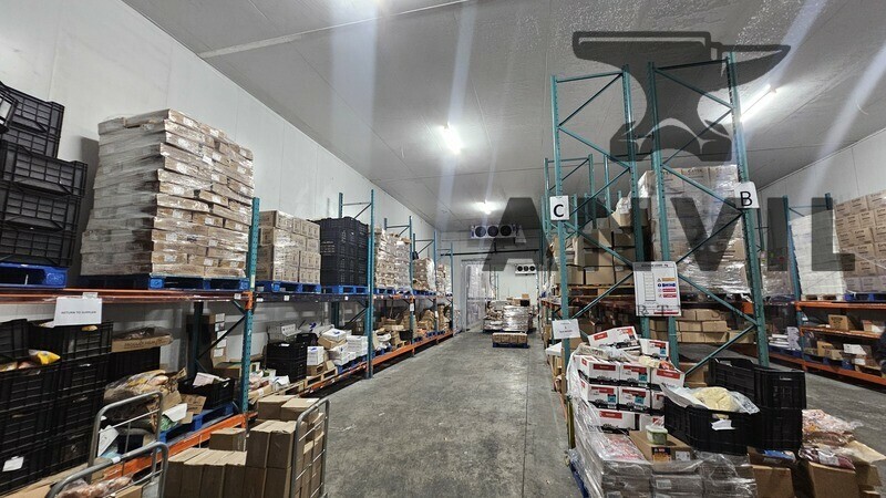 1 Killarney Ave, Killarney Gardens - Wharehouse property image 7