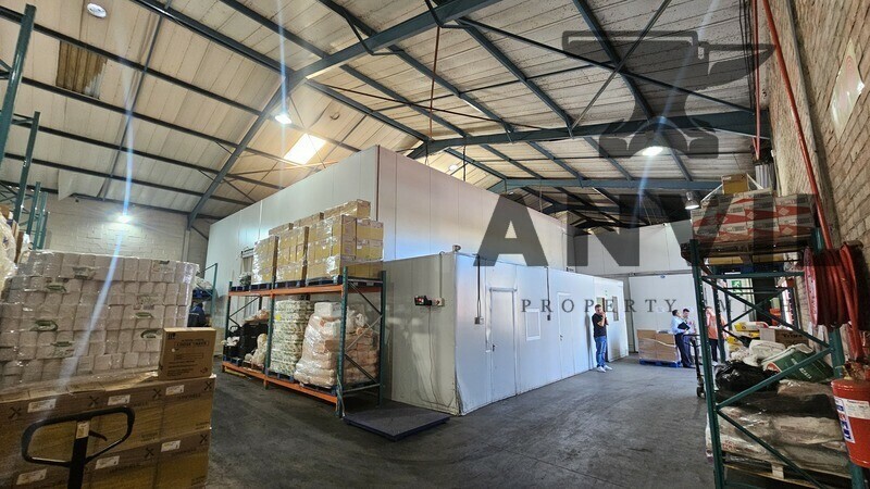 1 Killarney Ave, Killarney Gardens - Wharehouse property image 18