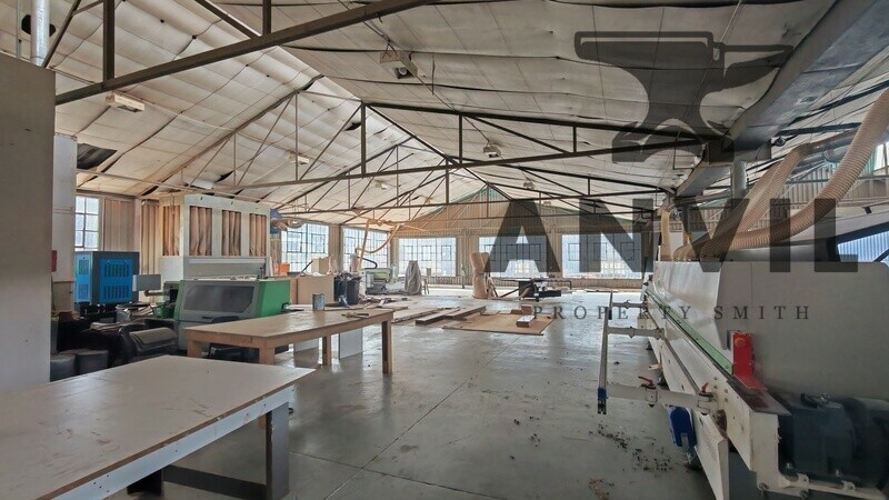 103 Terrace Road - Unit B  property image 11