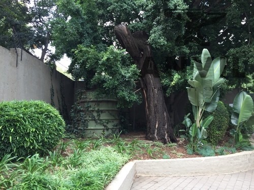 259 Jan Smuts, Rosebank - Entire property To lease property image 28