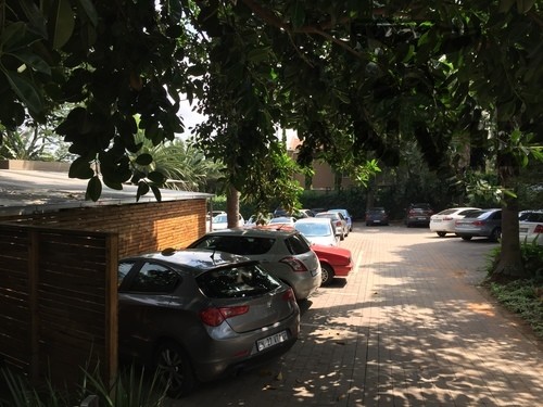 259 Jan Smuts, Rosebank - Entire property To lease property image 32