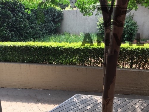 259 Jan Smuts, Rosebank - Entire property To lease property image 8