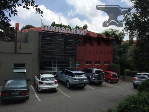 259 Jan Smuts, Rosebank - Entire property To lease property image 22