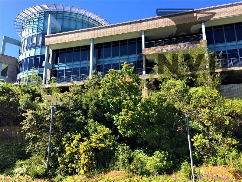 Tygerberg Office Park - Duplicate Building Created - Phase 5, ex ABSA property image 1
